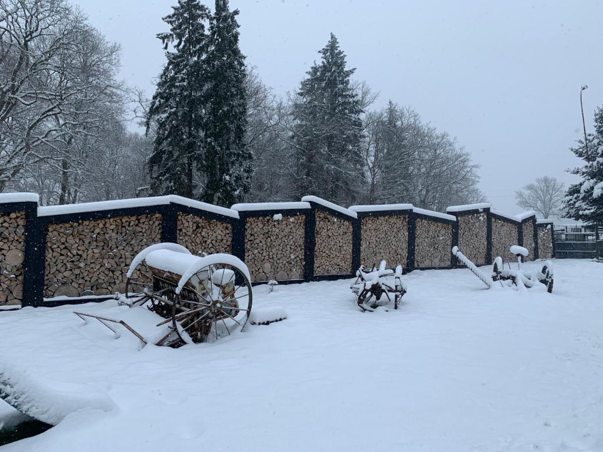 Agroturystyka Gesiniec Stare Osieczno Экстерьер фото