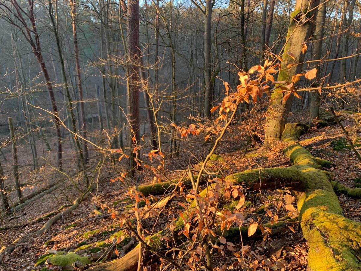 Agroturystyka Gesiniec Stare Osieczno Экстерьер фото