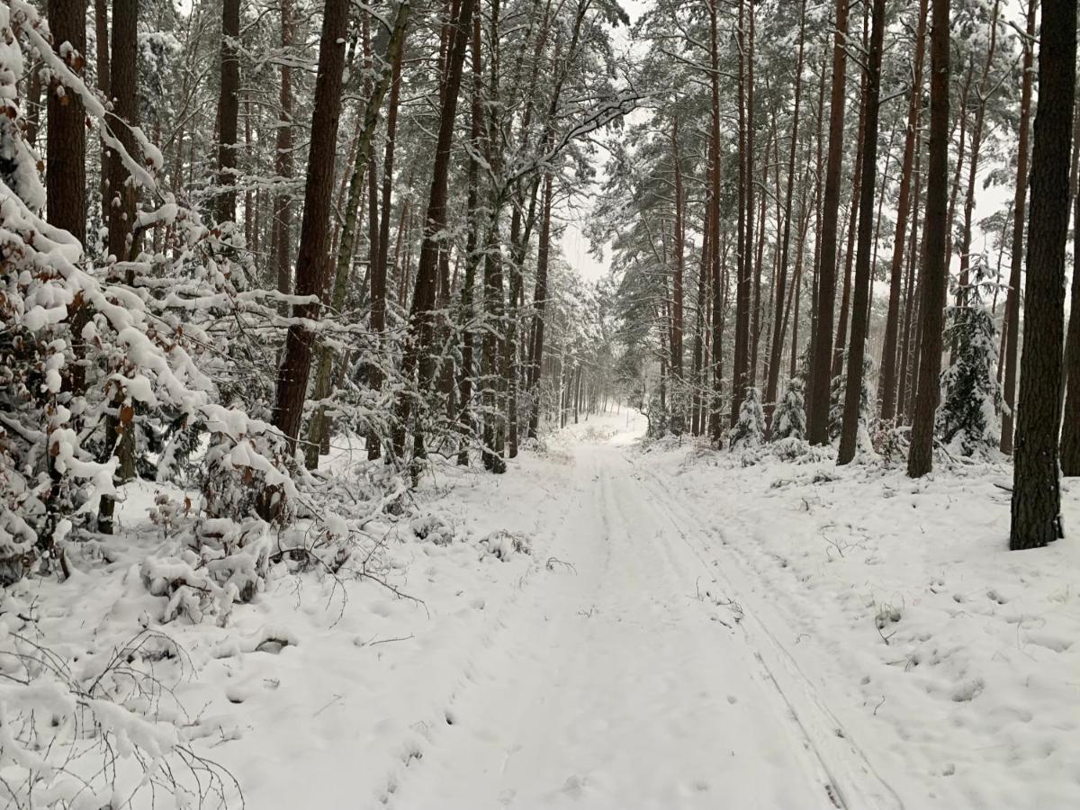 Agroturystyka Gesiniec Stare Osieczno Экстерьер фото