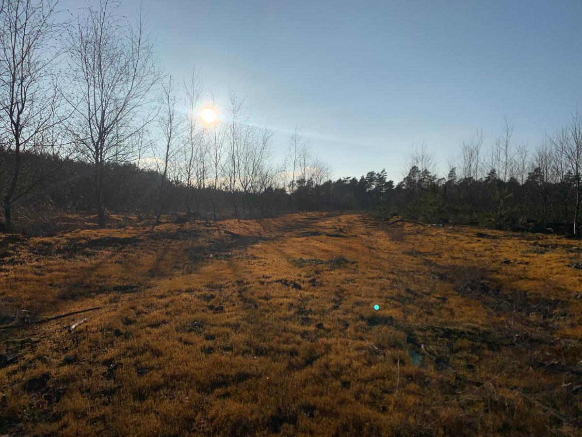 Agroturystyka Gesiniec Stare Osieczno Экстерьер фото