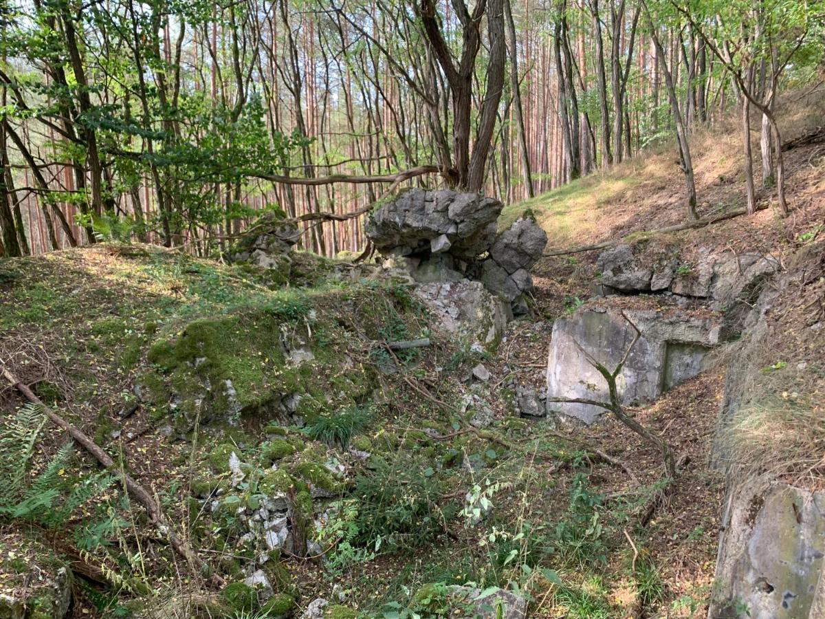 Agroturystyka Gesiniec Stare Osieczno Экстерьер фото