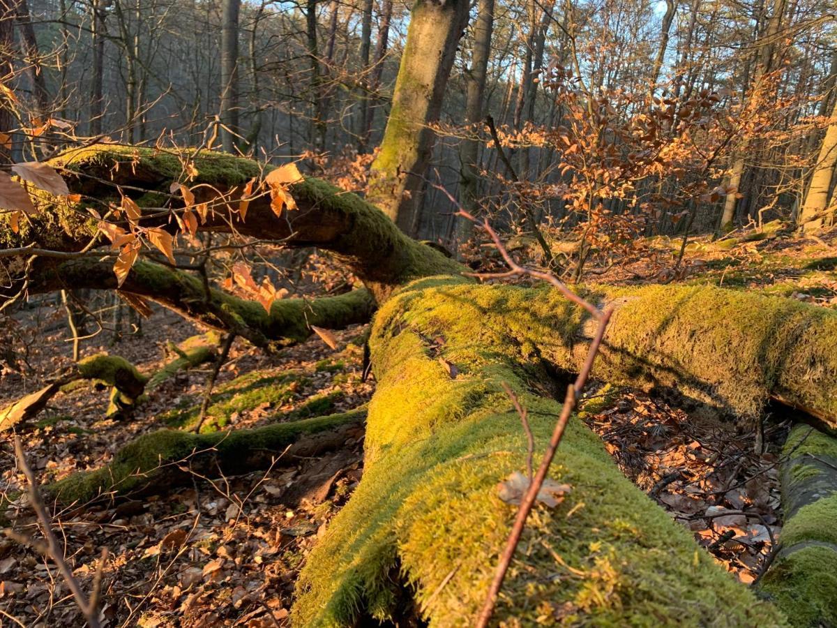Agroturystyka Gesiniec Stare Osieczno Экстерьер фото