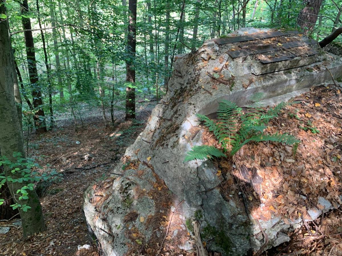 Agroturystyka Gesiniec Stare Osieczno Экстерьер фото