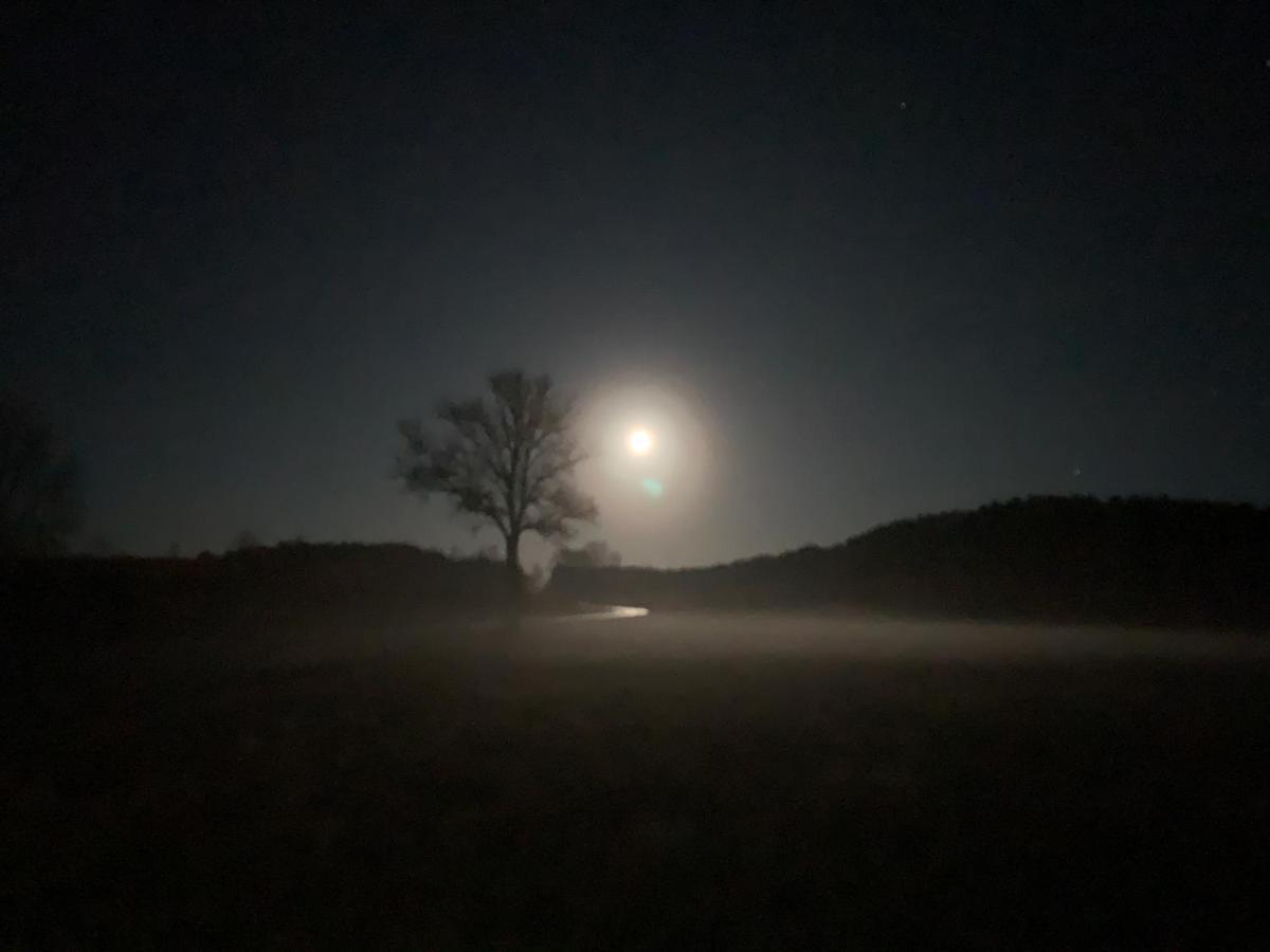 Agroturystyka Gesiniec Stare Osieczno Экстерьер фото